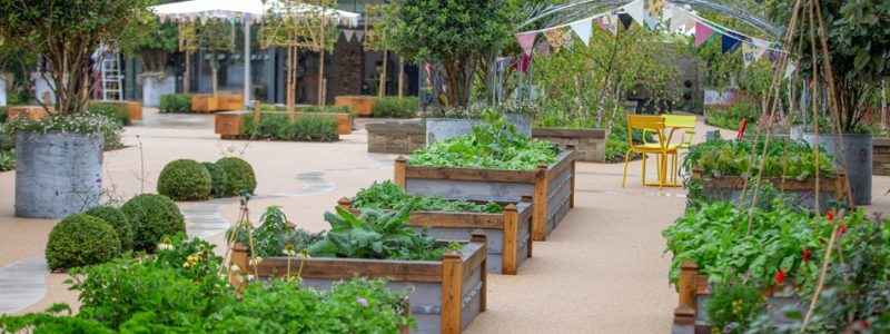 Horatio’s Garden