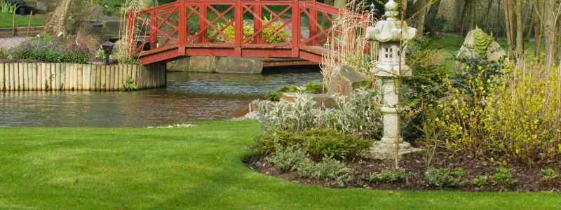 Japanese Island Garden