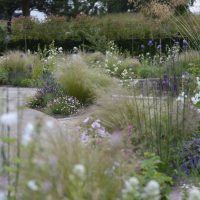 Farmhouse Gardens