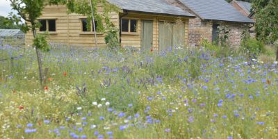 Farmhouse Gardens