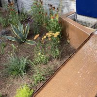 Townhouse Garden