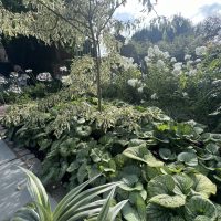 The Well Garden, Wollerton Old Hall