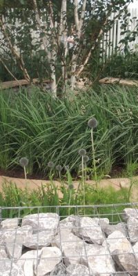 Prison Garden for Rehabilitation