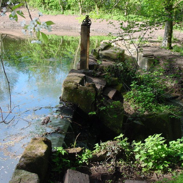Pond Restoration