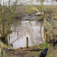 Pond Restoration