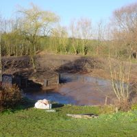 Pond Restoration