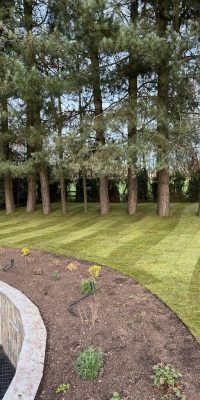 Terraced Contemporary Garden