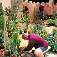The Moroccan Garden
