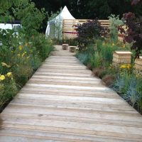 The Bees Garden