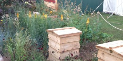 The Bees Garden