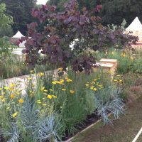 The Bees Garden