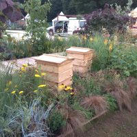 The Bees Garden