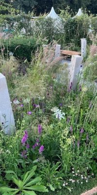 Psalm 27 Garden, Young Designer of the Year Award 2023