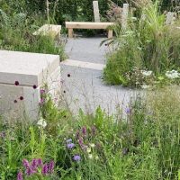 Psalm 27 Garden, Young Designer of the Year Award 2023