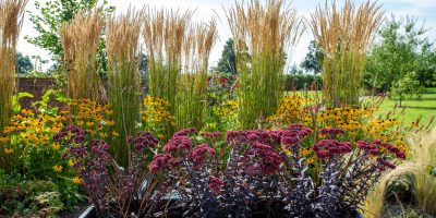 Planting & Border Design