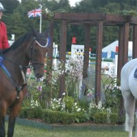 Bolesworth Arena Show Garden designed by Butler Landscapes.