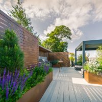 Contemporary Rooftop Garden, Manchester