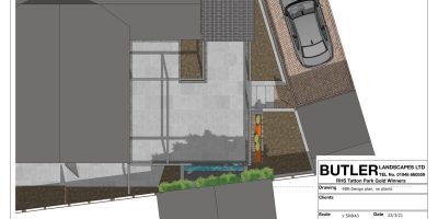 Contemporary Garden