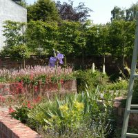 Foundation Garden