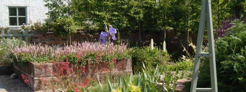 Foundation Garden