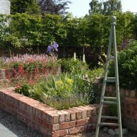 Foundation Garden