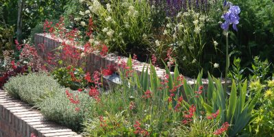 Foundation Garden