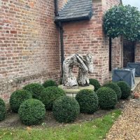 Planting & Border Design