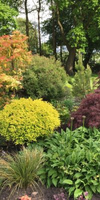 Timeless Garden