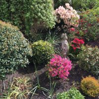 Timeless Garden