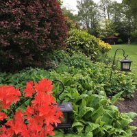 Timeless Garden