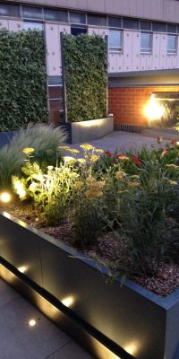 Rooftop Garden, Birmingham