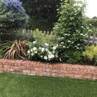 Cottage Garden