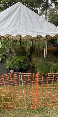 The RSPCA Garden – From Chelsea to Stapeley Grange