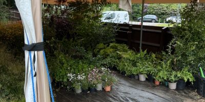 The RSPCA Garden – From Chelsea to Stapeley Grange