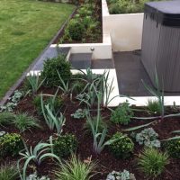 Modern Garden with Swim Spa & Outdoor Kitchen