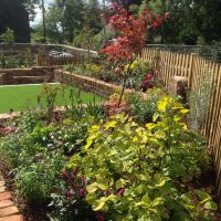 Cottage Garden