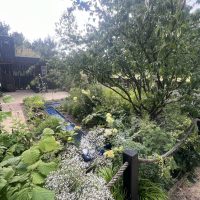 The RSPCA Garden – From Chelsea to Stapeley Grange
