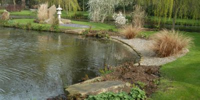 Japanese Island Garden