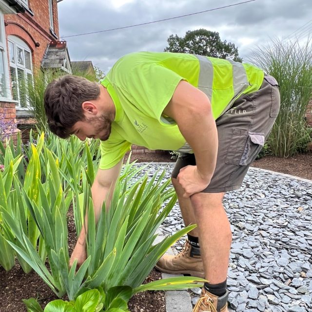 Garden & Landscape Services