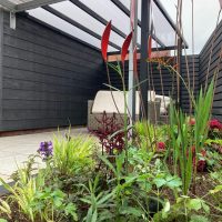Contemporary Garden
