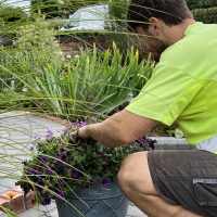 Garden & Landscape Maintenance