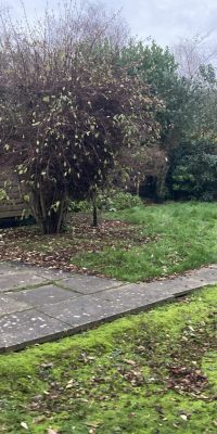 Rear Garden Transformation