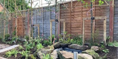 Rear Garden Transformation