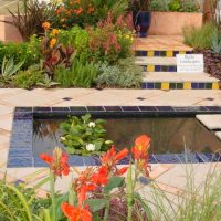 Show Gardens