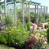 Classic Garden