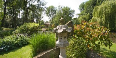 Japanese Island Garden