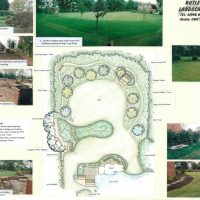 Timeless Garden
