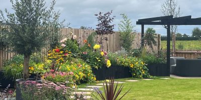 Modern City Garden